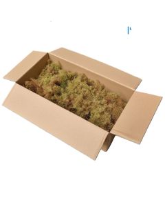 Modeltræer Sea moss natur - Karton