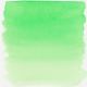 Akvarel ecoline 490ml 600 green