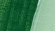 Akryl akademie 1000ml 552 leaf green