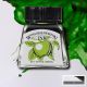 Tusch W&N 14ml 961 (011) apple green - Winsor & Newton